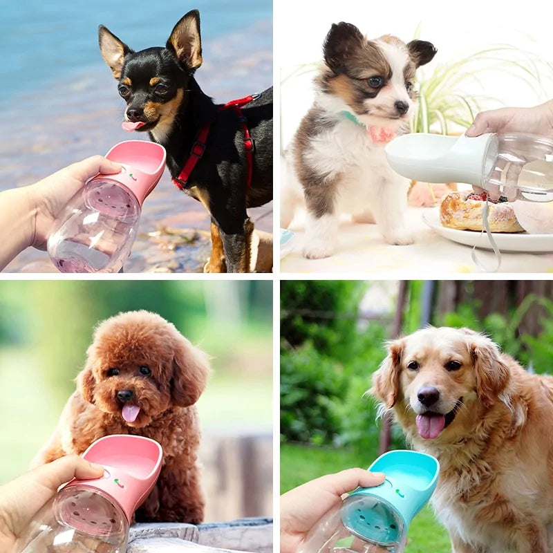 Portable pet water dispenser clearance