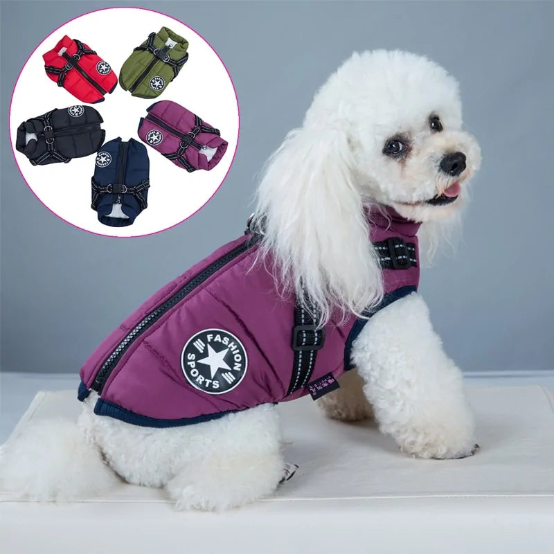 Waterproof Dog Jacket With Harness Petnificent